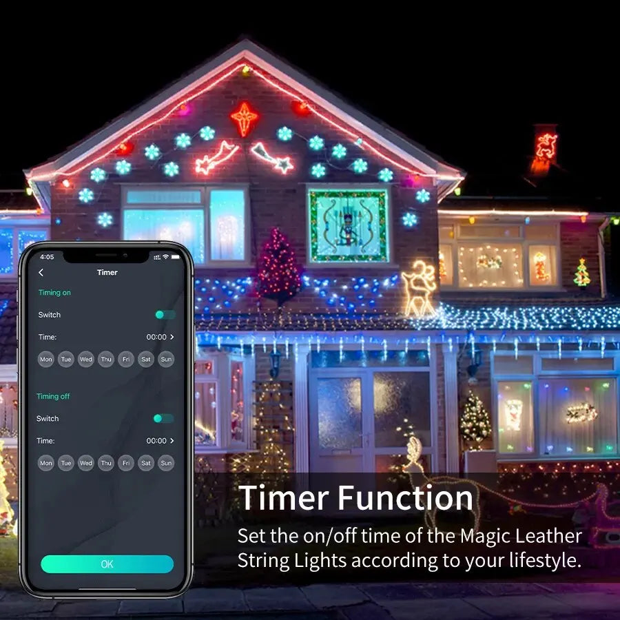 FestiveGlow – Your Holiday Lights Solution - Black Friday Discounts!